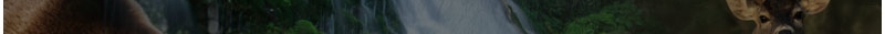 Indexintro